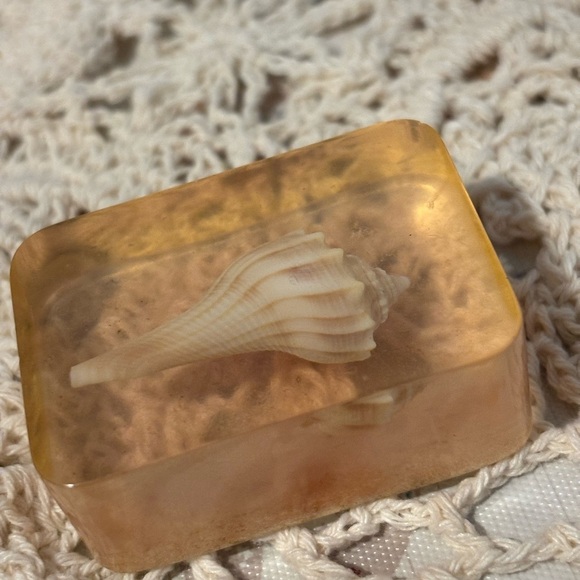 Vintage Seashells in Resin Paperweights - Picture 8 of 13